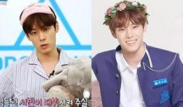 爆料娱乐圈的书叫啥名字,揭秘幕后真相